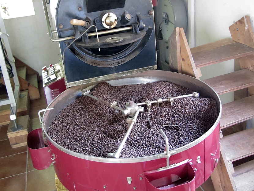 Le Domaine de Vanibel Offer Visite guidée : un grand cru de café