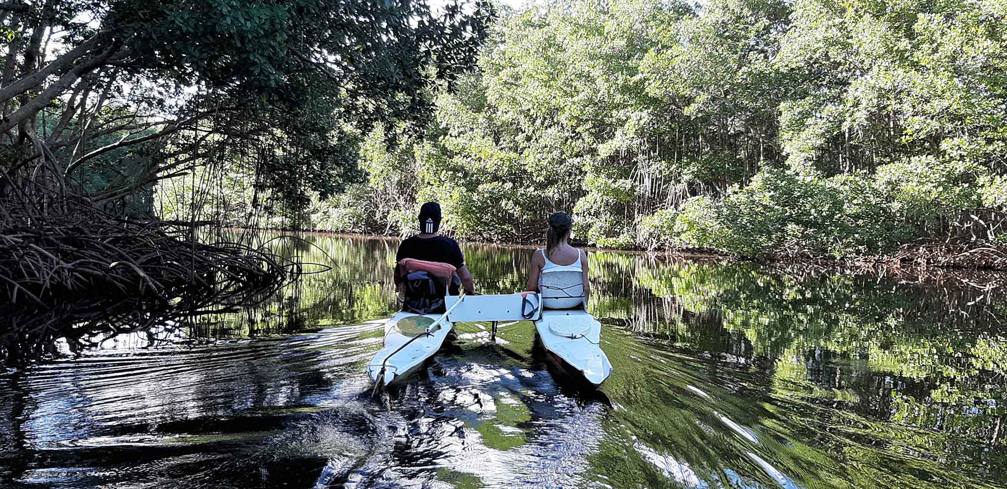 Bel Mangrov - Sea cycling Offer Explore the mangrove by sea bike