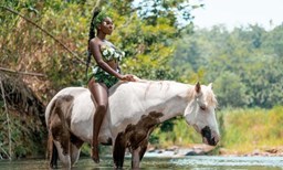 Activité PAINT HORSE RANCH DE MOREAU offer Ranch de Moreau - Balade rivière image