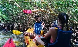 Activité Molem Gliss offer Molem Gliss - Visite guidée de la Mangrove image