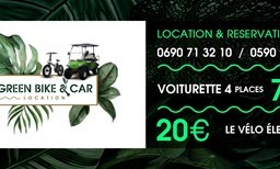 Activité Green car location offer Day trip by electric vehicle image