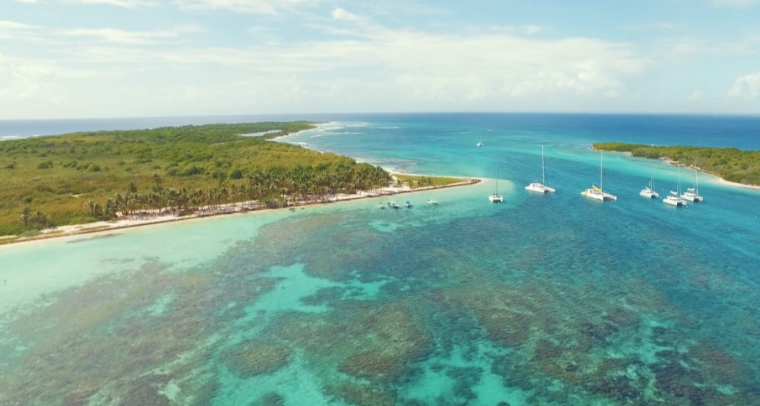 Activité COEUR DES ILES - EXCURSION offer Île de Petite terre en catamaran à voile image