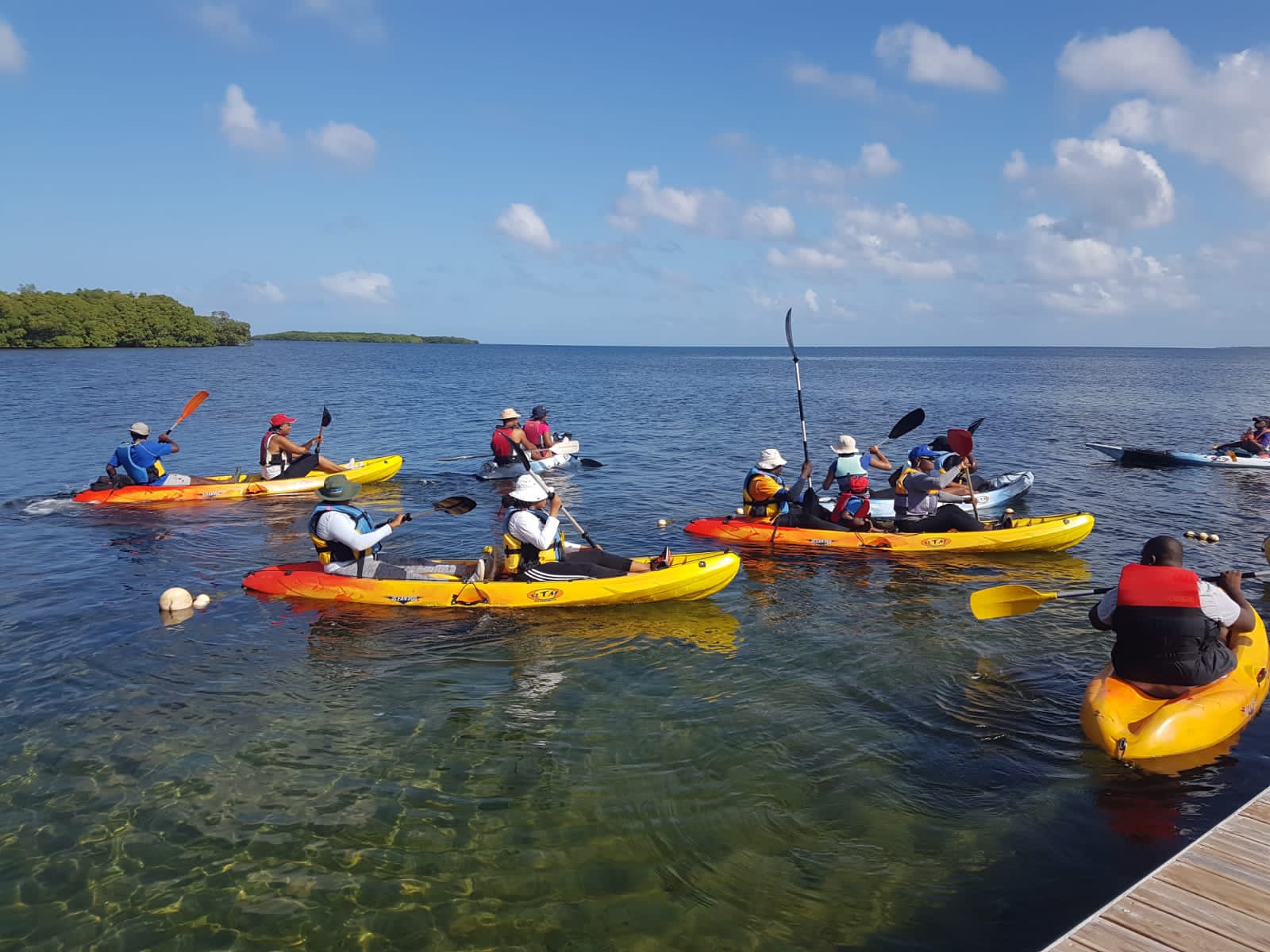 Tonic Kayak Club Offer Sortie en kayak