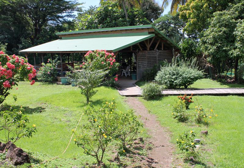 La Sylvathèque Offer Discovery of medicinal plants and creole garden