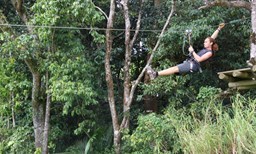 Activité LE TAPEUR offer Le Tapeur - Hanging park in the rainforest image