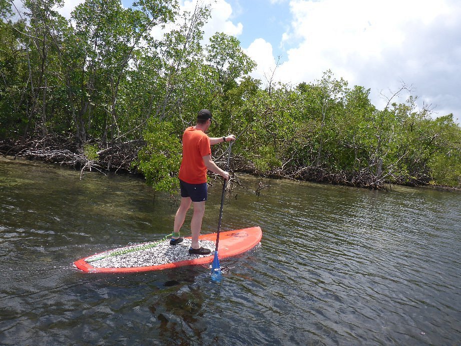 Tonic Kayak Club Offer Sortie en paddle