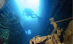 Activité LES BAILLANTES TORTUES offer Les Baillantes Tortues - Scuba Diver - 3 plongées image