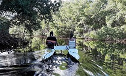 Activité Bel Mangrov - Sea cycling offer Explore the mangrove by sea bike image