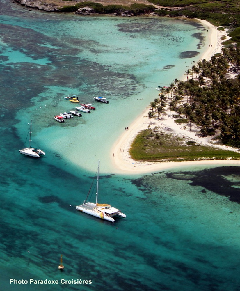 Activité Paradoxe Croisieres offer Paradoxe Croisières - Croisières en Catamaran dans Les Îles du Guadeloupe image