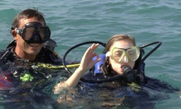 Activité NOA PLONGEE offer Try scuba diving image