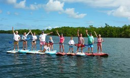 Activité Get Up Stand Up offer Paddle tours, the alternative to kayaking image