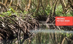 Activité CISMAG offer CISMAG - Discovery of the Old Fort Mangrove by Electric Boat or Pedal Boat image