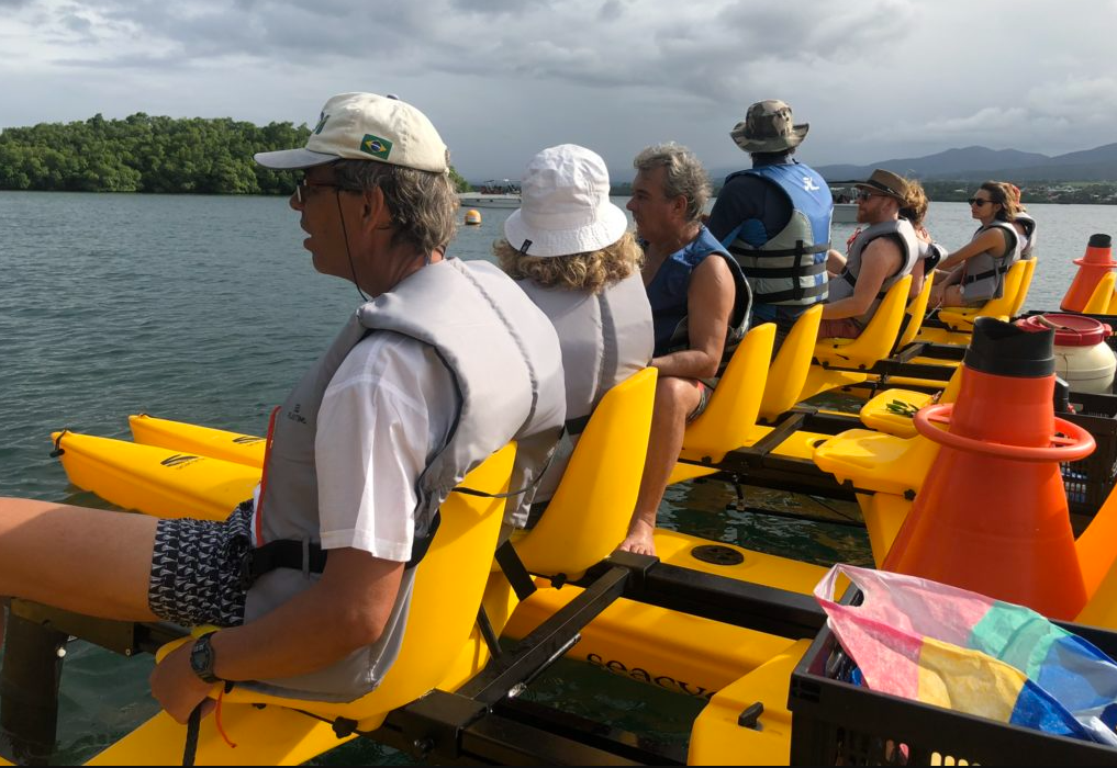 Activité MANGROV' ECO TOUR offer Excursions nautiques écologiques en pleine nature dans la mangrove de Sainte-Rose image