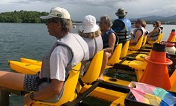 Activité MANGROV' ECO TOUR offer Excursions nautiques écologiques en pleine nature dans la mangrove de Sainte-Rose image