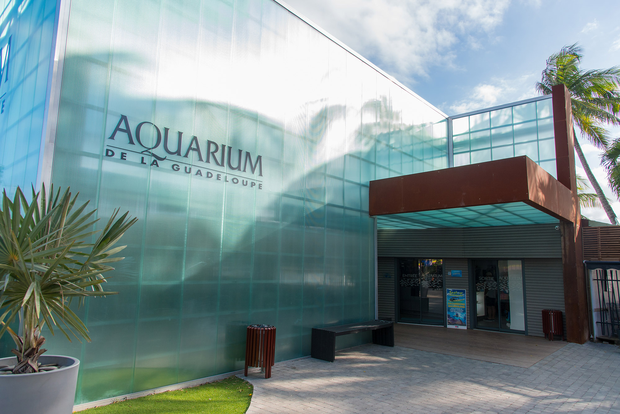 Activité Aquarium de la Guadeloupe offer Aquarium entrée adulte image