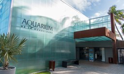 Activité Aquarium de la Guadeloupe offer Aquarium image