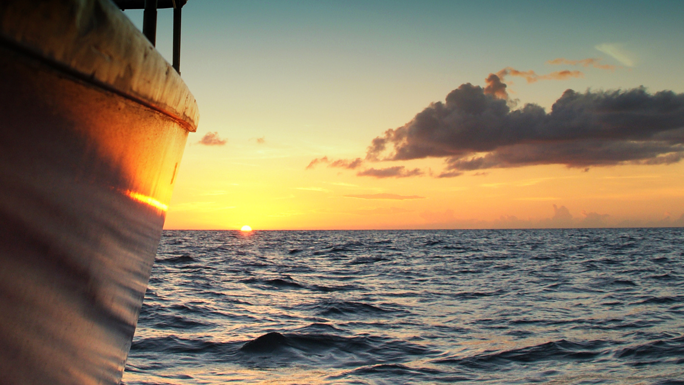 Activité Talamanca - Excursions en catamaran à voile offer Talamanca Excursions catamaran à voile - Escapade au coucher du soleil image