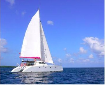 Activité AZIMUT - CATAMARAN A VOILE offer Day cruise in the big cul de sac marin - Child pass image