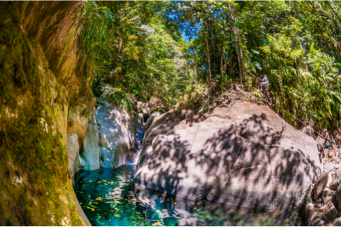 cascade bassin bleu guadeloupe