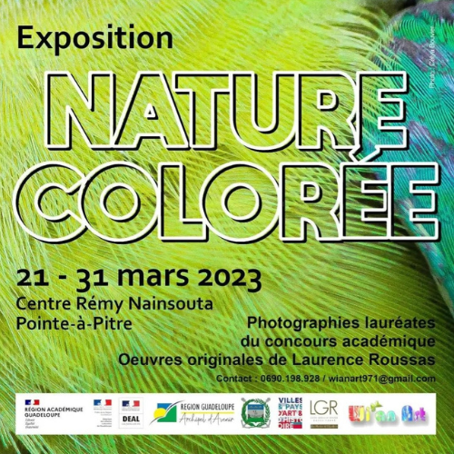 Nature coloree | Centre Remy Nainsouta | Laurence Roussas | Exposition | Exposition guadeloupe | Exposition Pointe-à-Pitre | Expo photo | Expo photo Guadeloupe | Expo