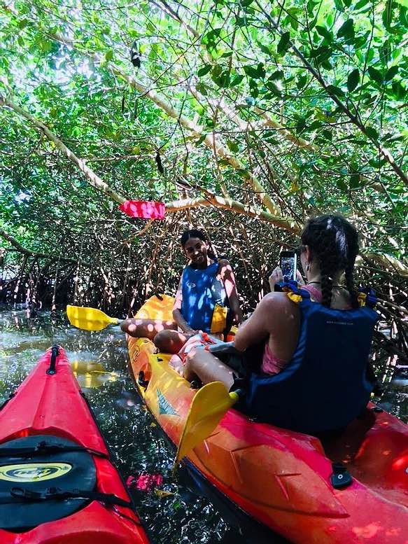 Activité Molem Gliss offer Molem Gliss - Guided tour of the Mangrove image
