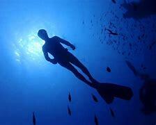 AN BA DLO GUADELOUPE-DIVING Offer PALM TREKKING WITH A GUIDE