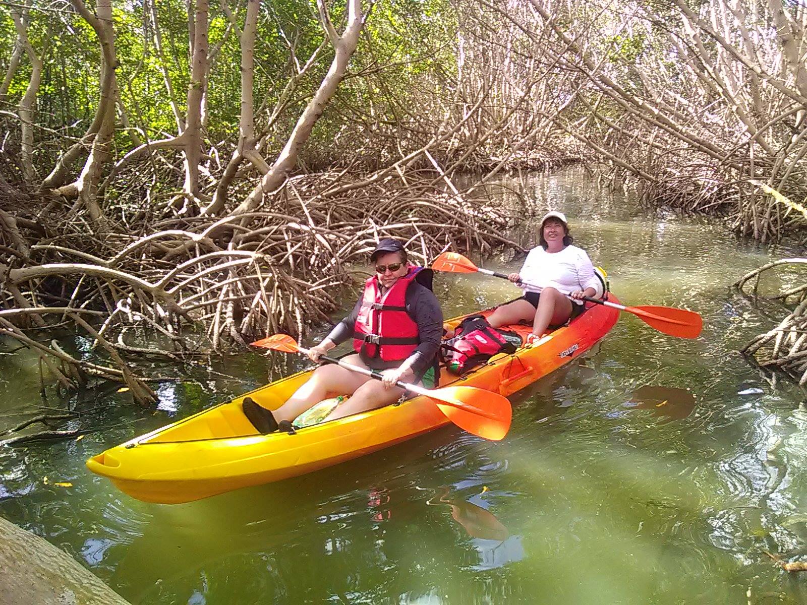 Activité Otantikayak offer Kayak day trip image
