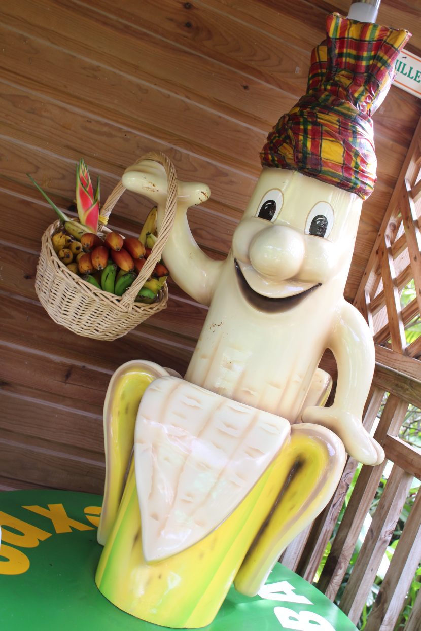 Activité Maison  de la banane offer Maison de la banane - Entrée pour visite image