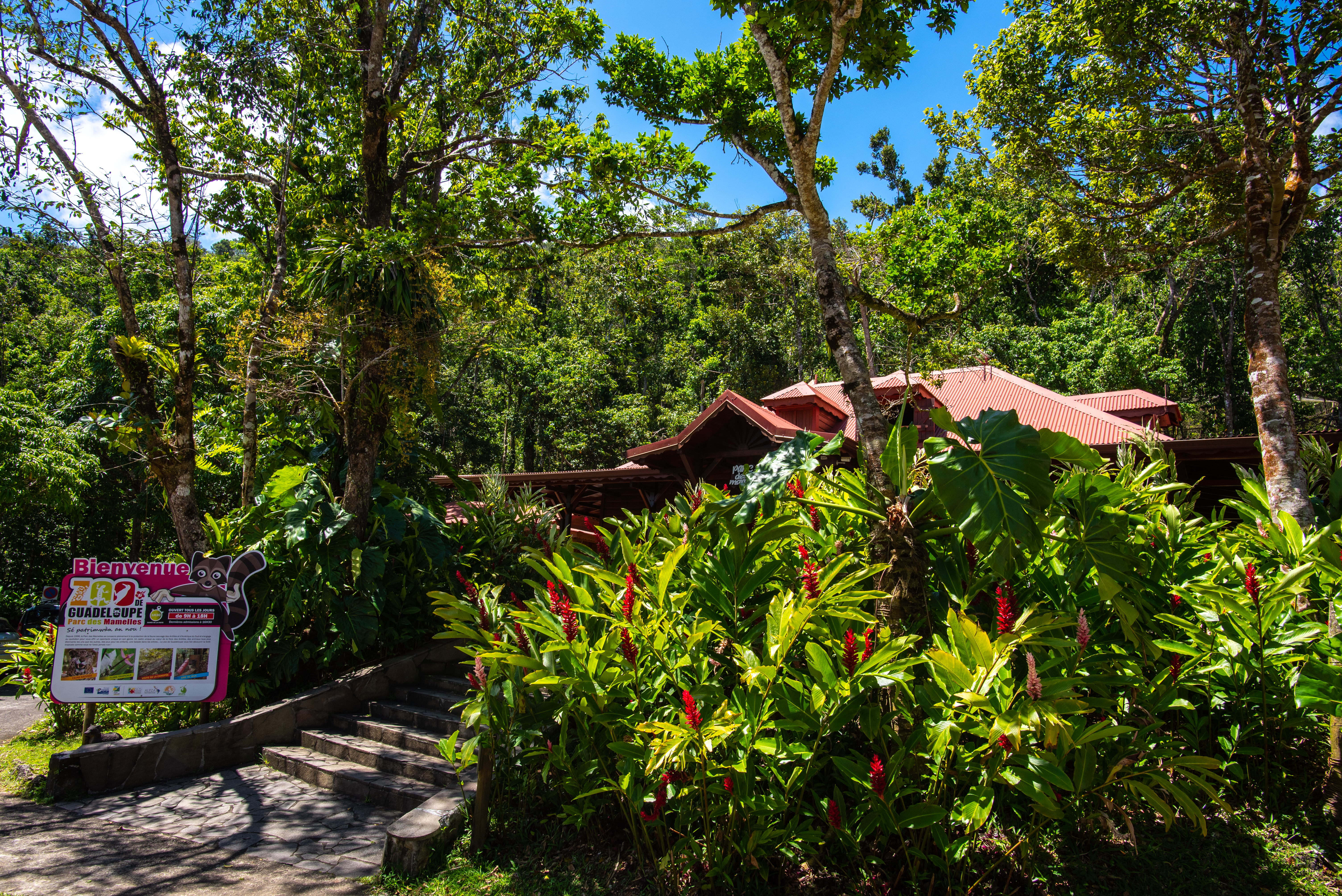 Zoo de Guadeloupe Offer Zoo de Guadeloupe Parc des Mamelles - Pass visite à partir de 13 ans