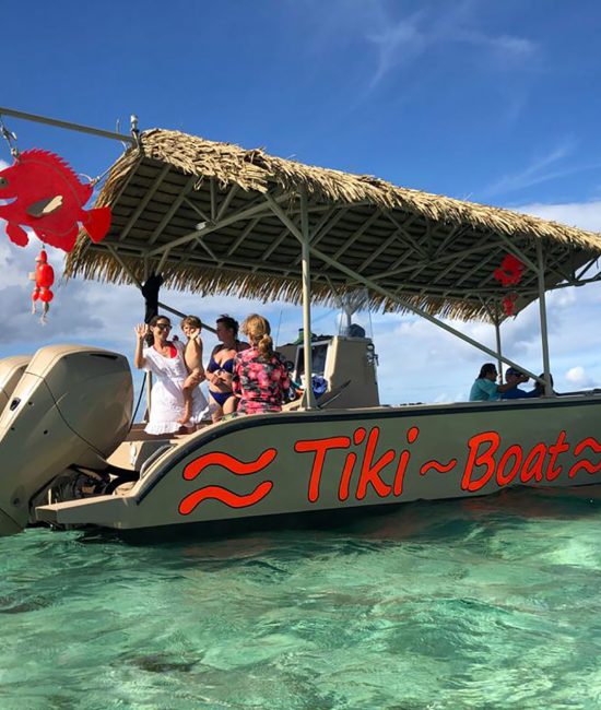Activité Tiki-Boat offer Tiki Boat - Unusual excursion in a glass-bottomed boat in the presence of an Ara image