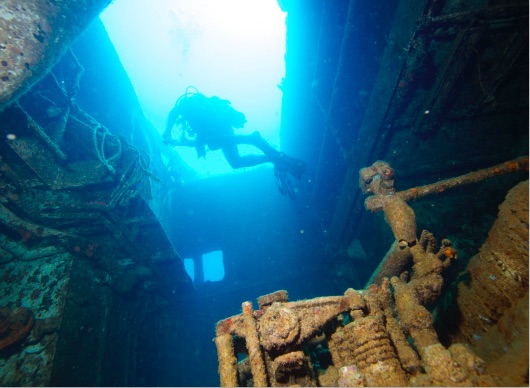 LES BAILLANTES TORTUES Offer Les Baillantes Tortues - Open Water Diver - 10 plongées