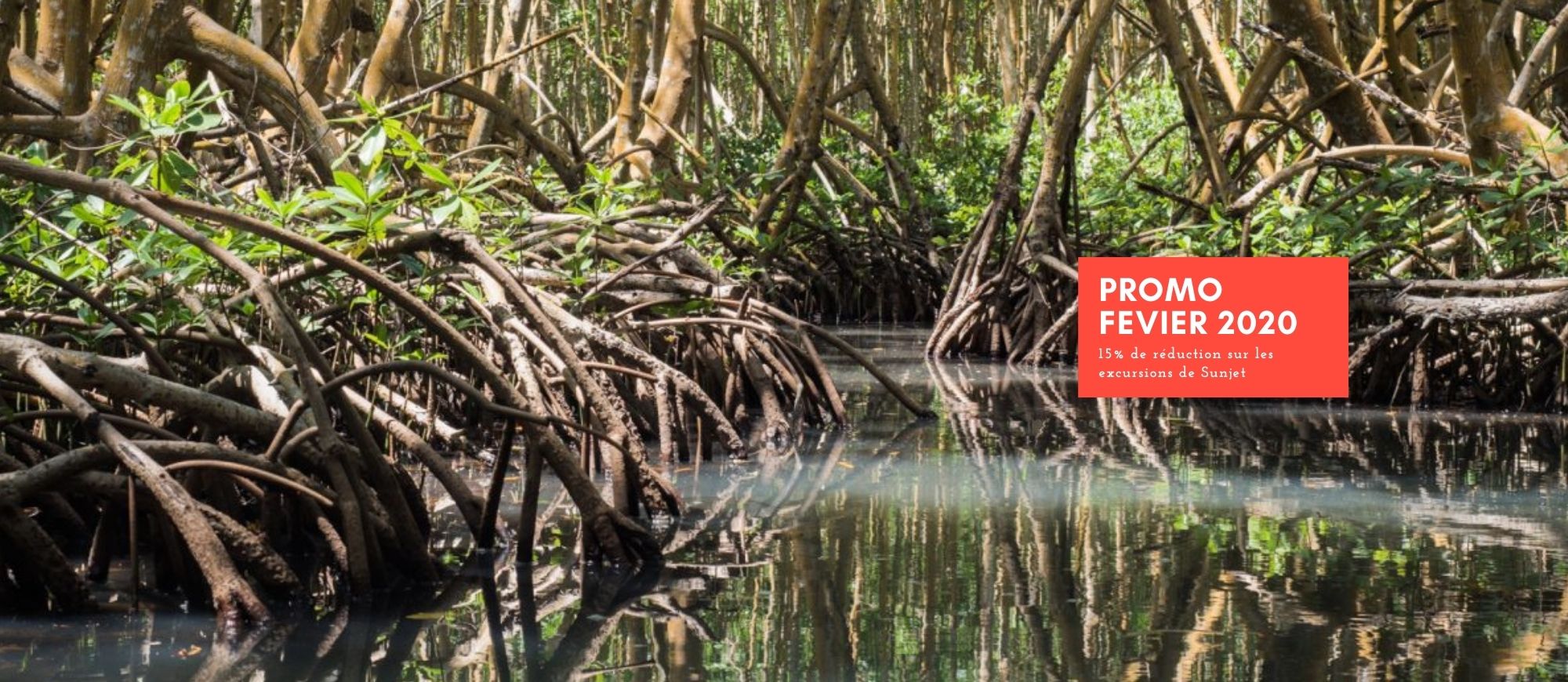CISMAG Offer CISMAG - Discovery of the Old Fort Mangrove by Electric Boat or Pedal Boat